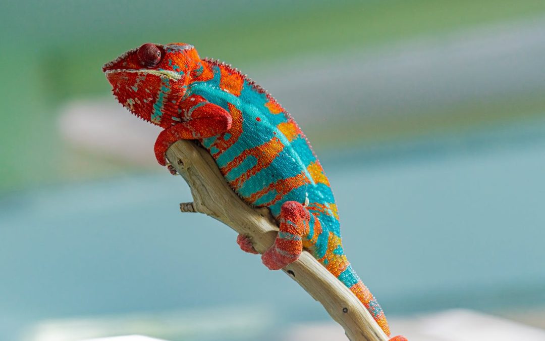 Cómo diseñar estrategias B2B con Exito