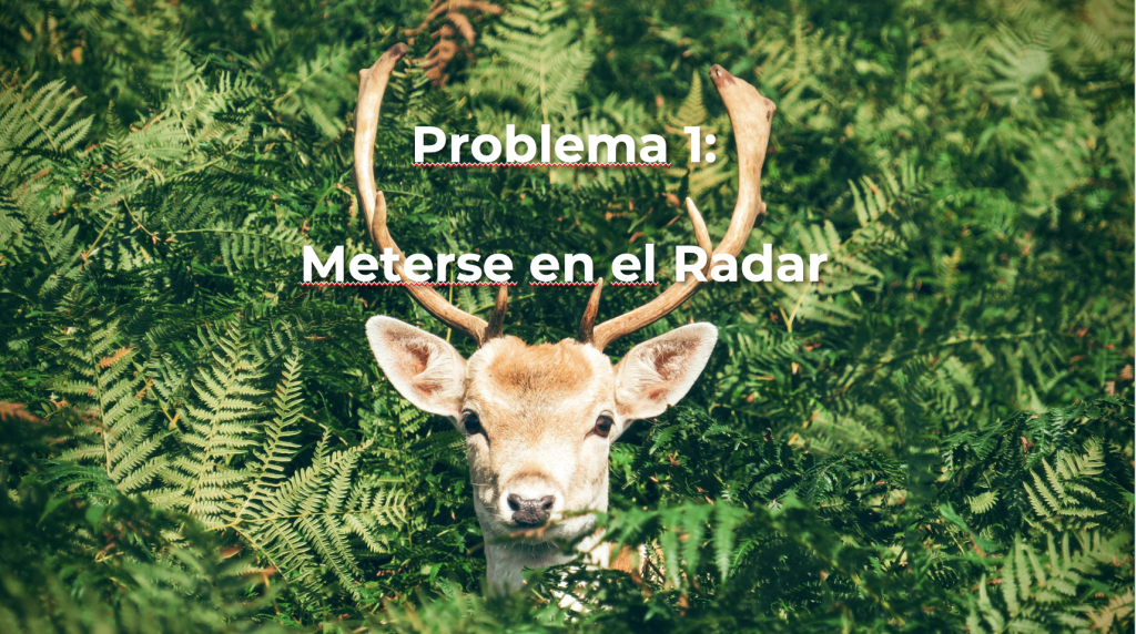 Meterse-radar-cliente-b2b