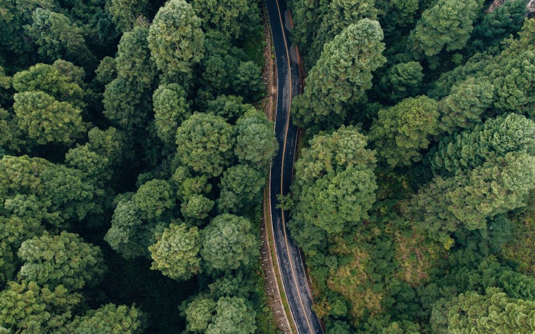 como-hacer-eficiente-proceso-comercial-B2B-desde-marketing